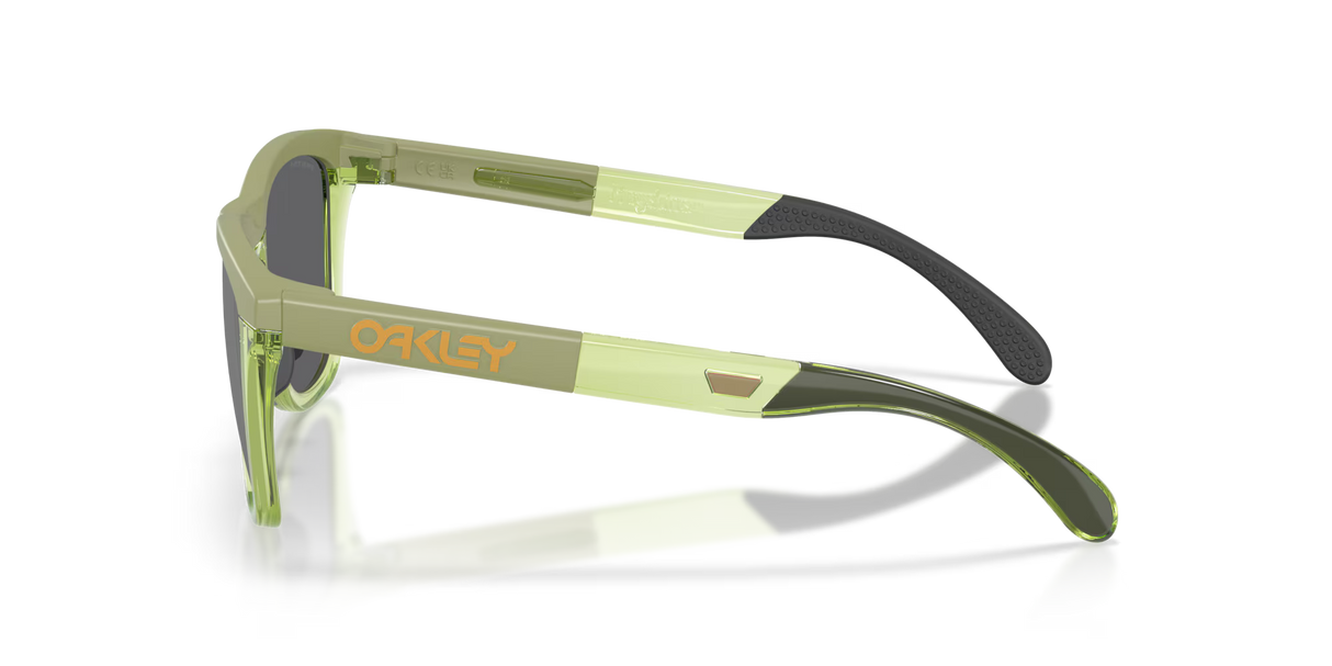 Oakley Frogskins Range XL - Matte Fern/Transparent Fern Frame with Prizm Black Lens