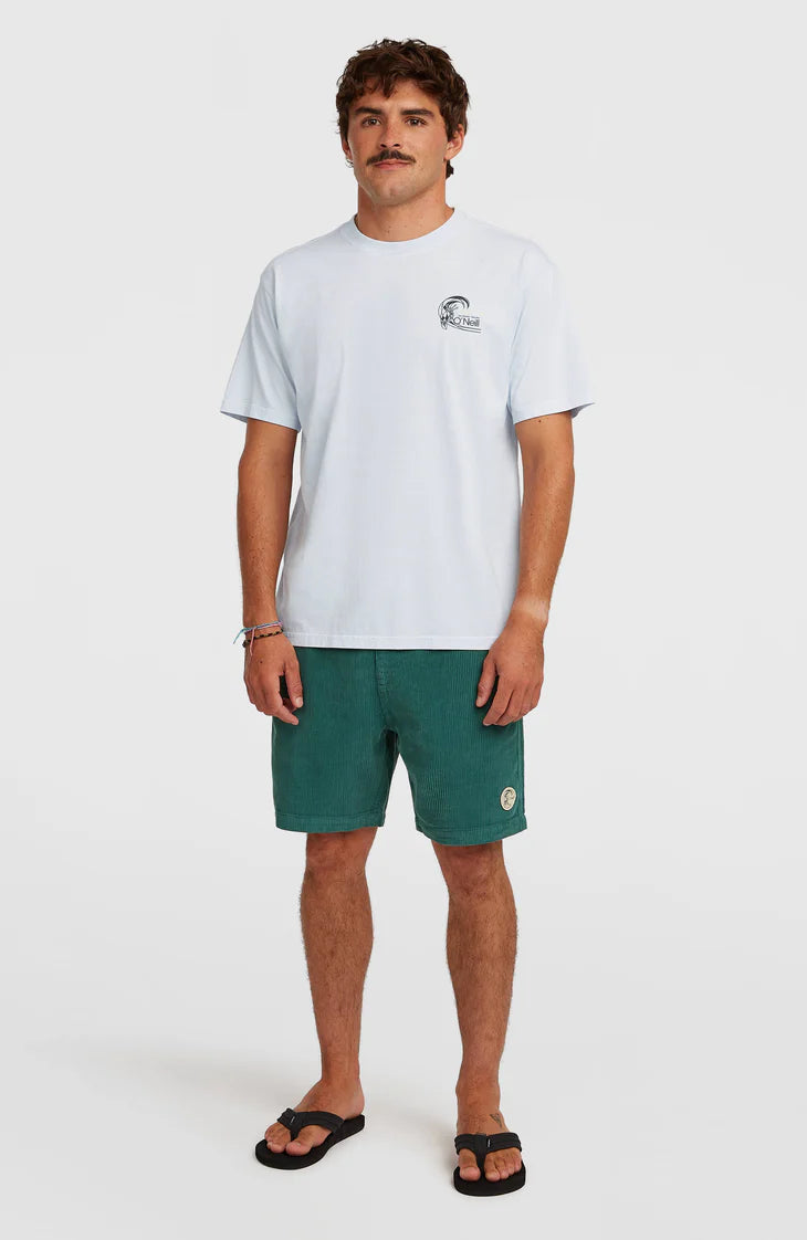 O'Neill O'Riginals 70's Graphic T-Shirt