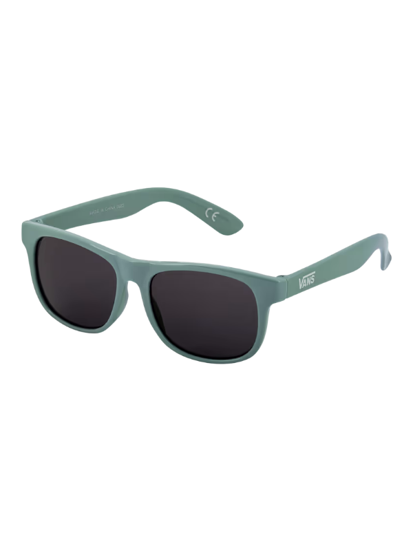 Vans Spicoli 4 Shades Sunglasses