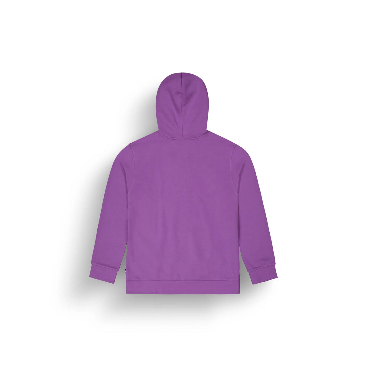 Picture Basement Hoodie