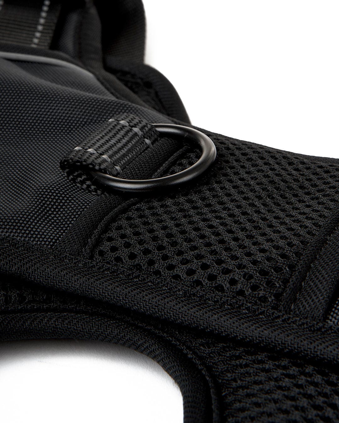 Saltrock Branded Pet Harness - Black-Pet Accessories-troggs.com