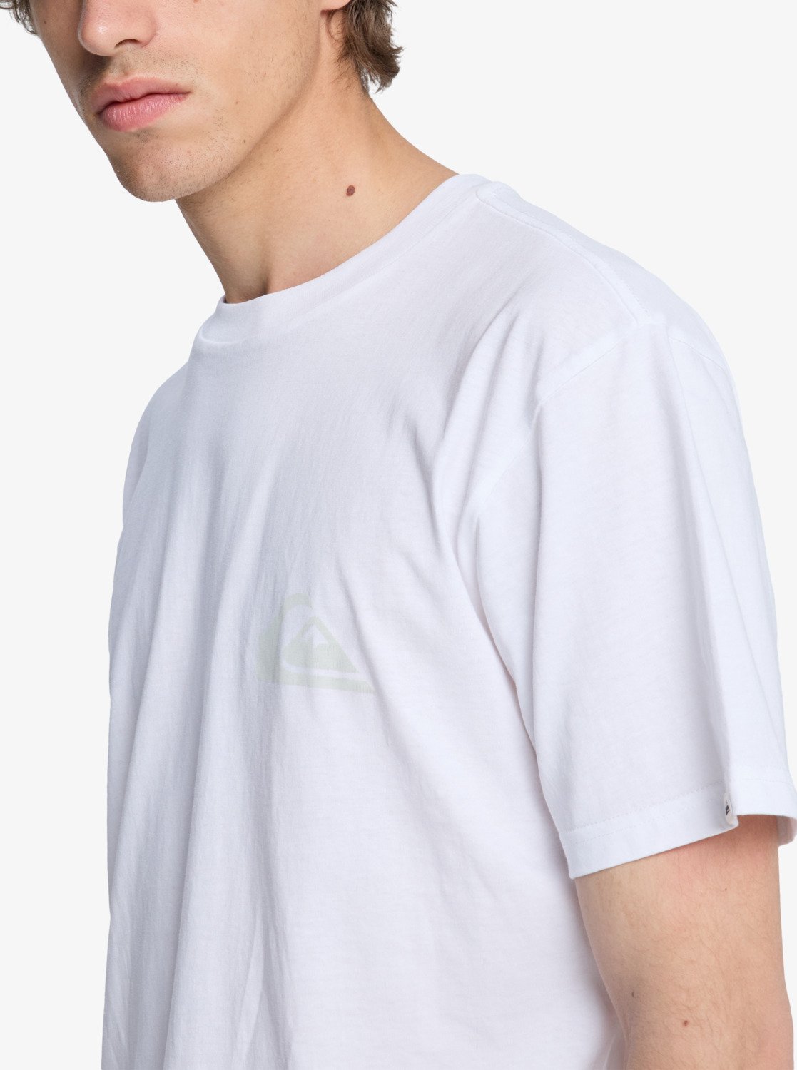 Quiksilver EV Mini Logo T-Shirt