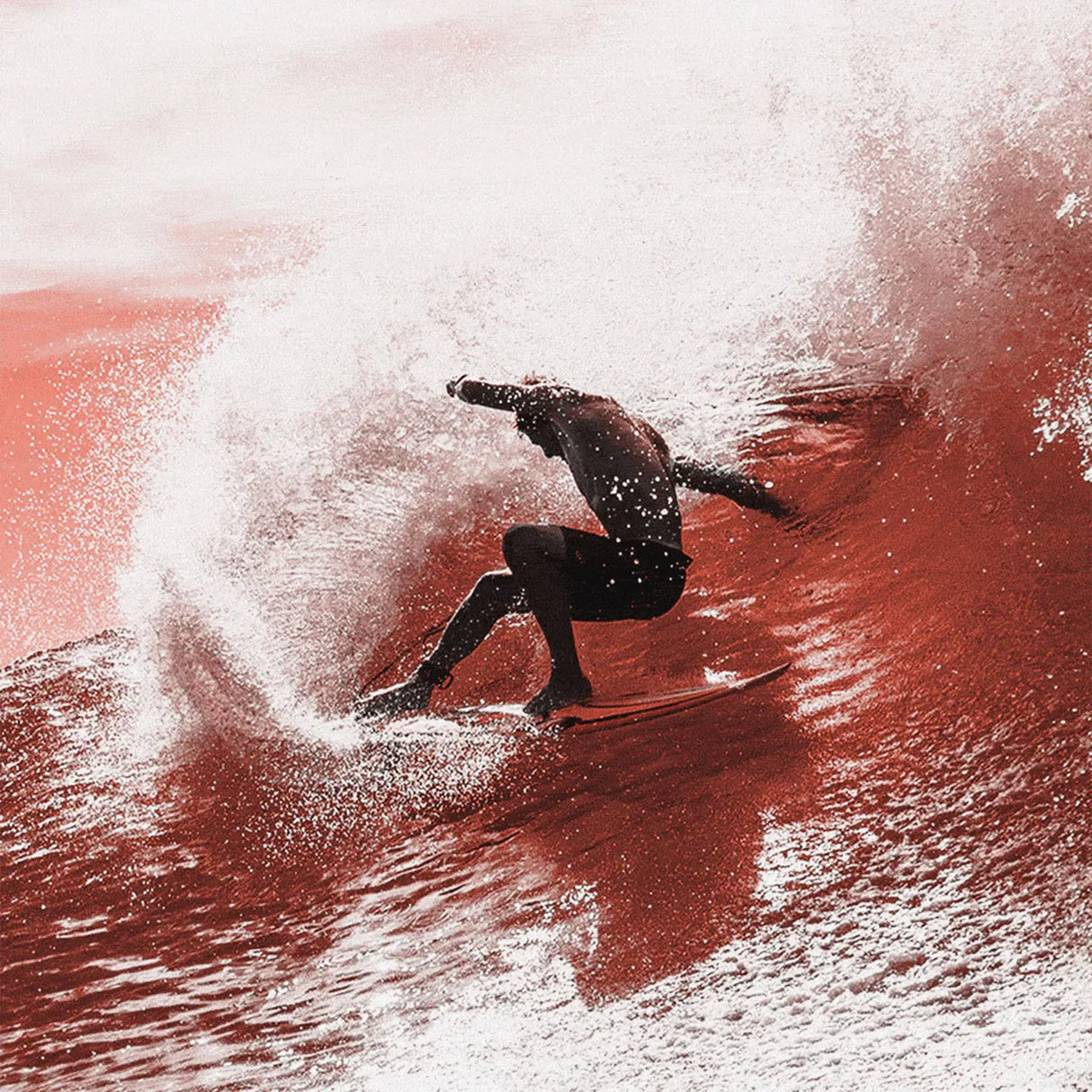 FCS 2 Sharpeye PC Thruster Fins -Black/White