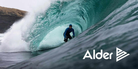 Alder