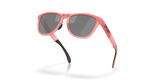 Oakley Frogskins Range - Muted Metallic Paloma Frame with Prizm Black Polarized Lens