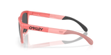 Oakley Frogskins Range - Muted Metallic Paloma Frame with Prizm Black Polarized Lens