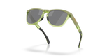 Oakley Frogskins Range XL - Matte Fern/Transparent Fern Frame with Prizm Black Lens