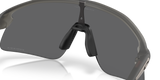 Oakley Stunt Devil - Grey Smoke Frame with Prizm Black Lens