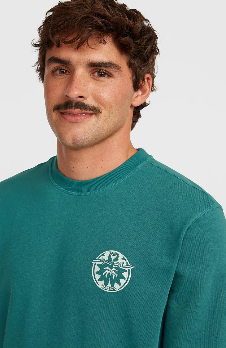 O'Neill Musthave Graphic Sweatshirt