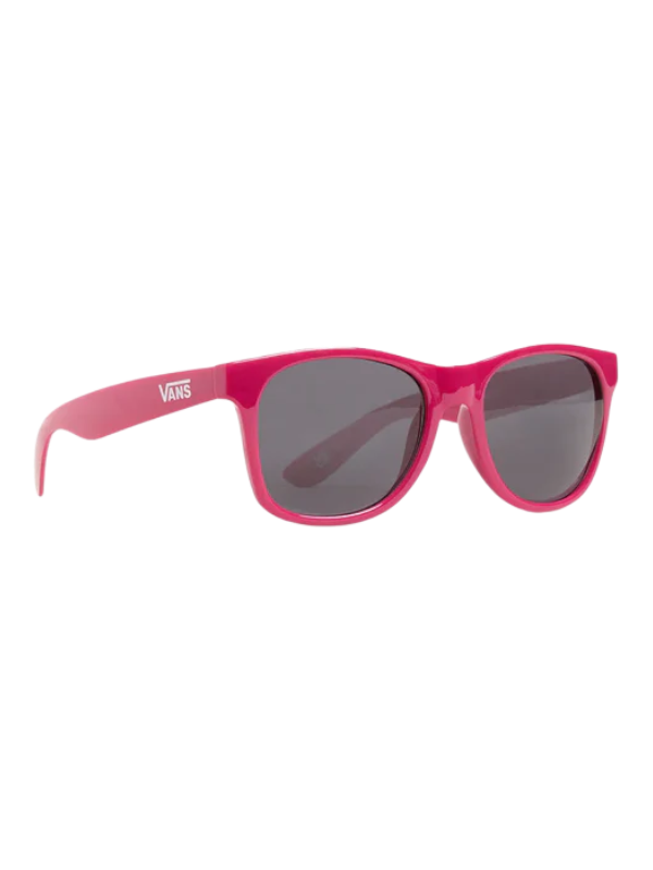 Vans Spicoli 4 Shades Sunglasses