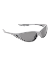 Eyelevel Dolphin