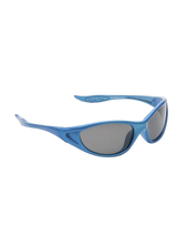 Eyelevel Dolphin