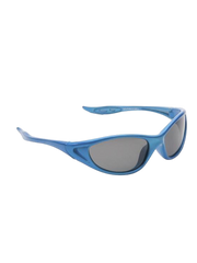 Eyelevel Dolphin