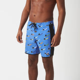 Picture SB 17 Boardshorts