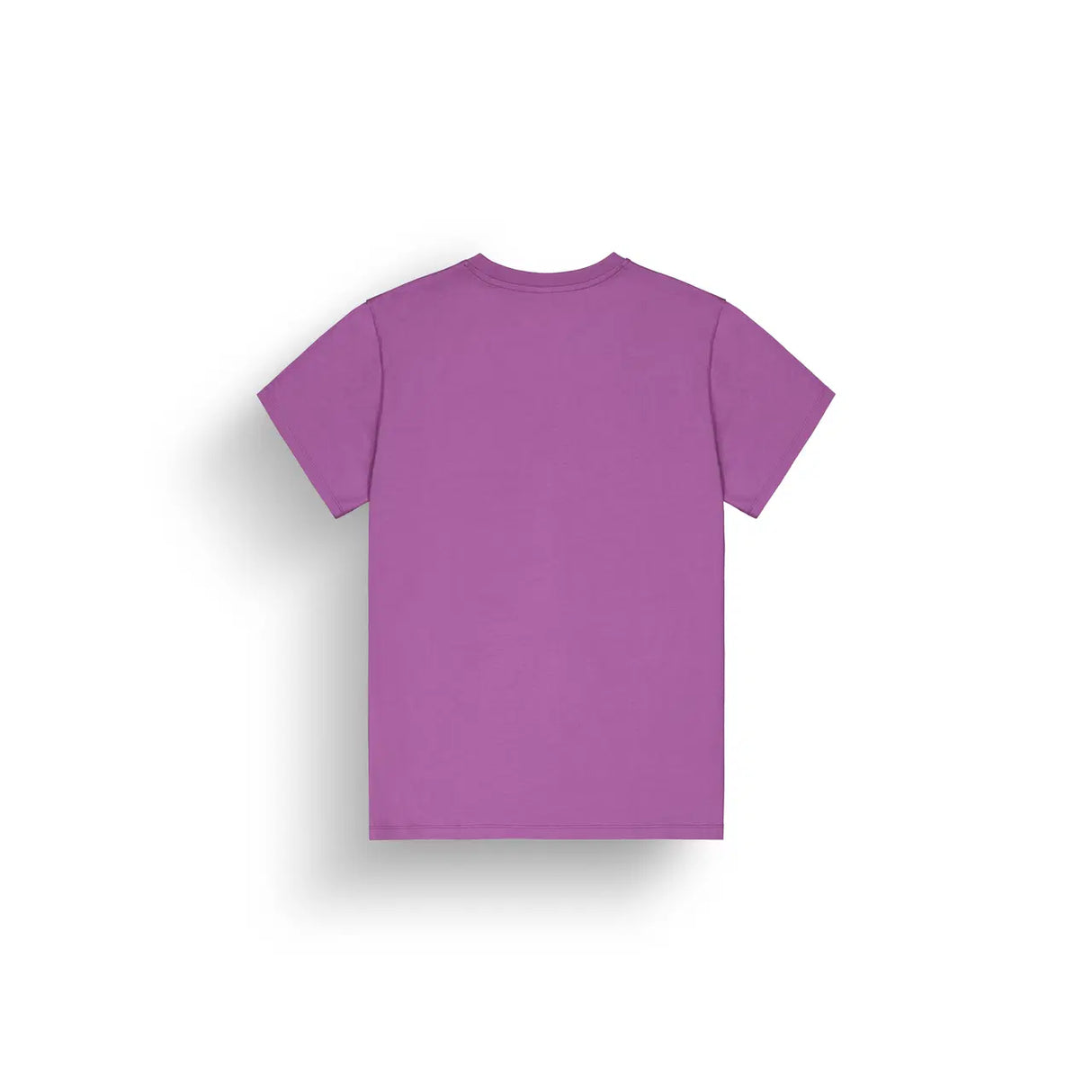 Picture Basement Classic T-Shirt
