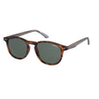 O'Neill 9008 2.0 Sunglasses - 102P-Sunglasses-troggs.com