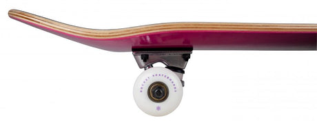 Rocket Double Dipped Complete Skateboard - Purple-Skateboards-troggs.com