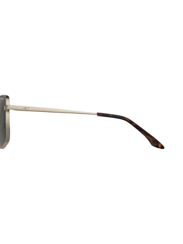 O'Neill Rincon 2.0 Sunglasses - 001P