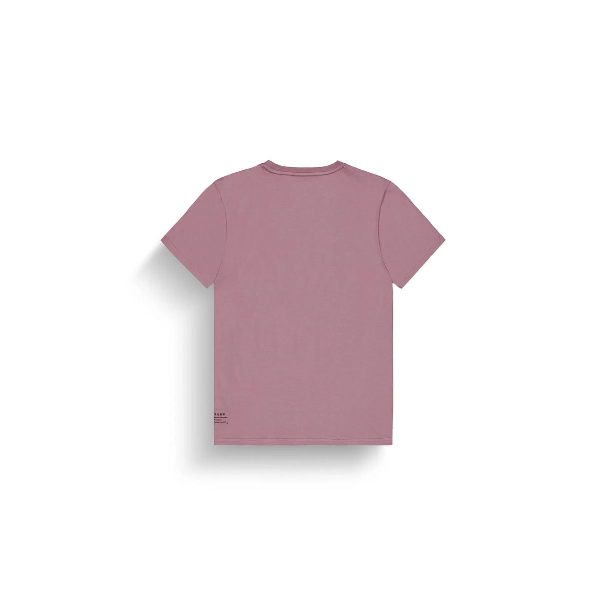 Picture Basement T-Shirt - Heather Rose