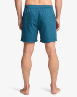 Billabong All Day Layback Swim Shorts