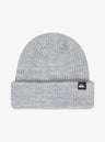 Quiksilver Performer Beanie