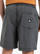 Quiksilver Taxer Walk Shorts