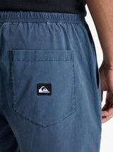Quiksilver Taxer 19" Shorts