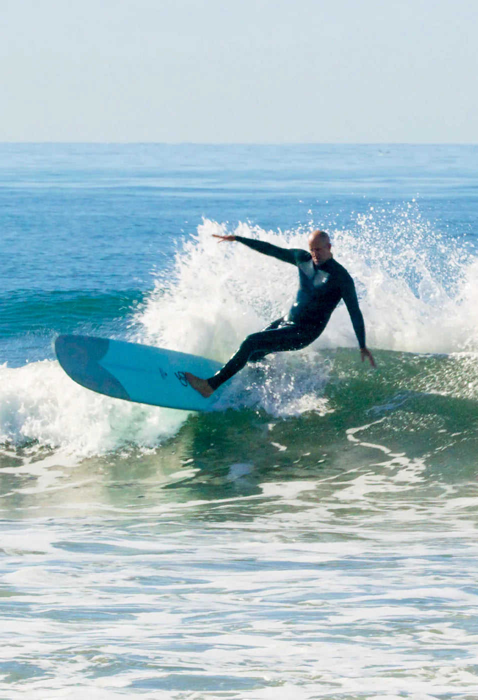 Firewire Singleton