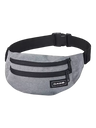 Dakine Classic Hip Pack