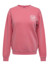 Troggs Independant Washed Sweatshirt - Pink